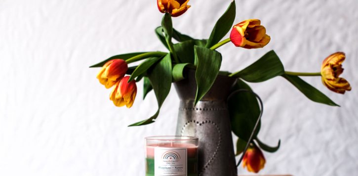 Are Wax Melts better than Candles? Our 7 Thoughts…