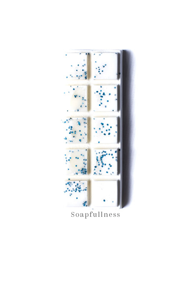 Sea Salt And Sage Wax Melts Revitalising + Beautiful