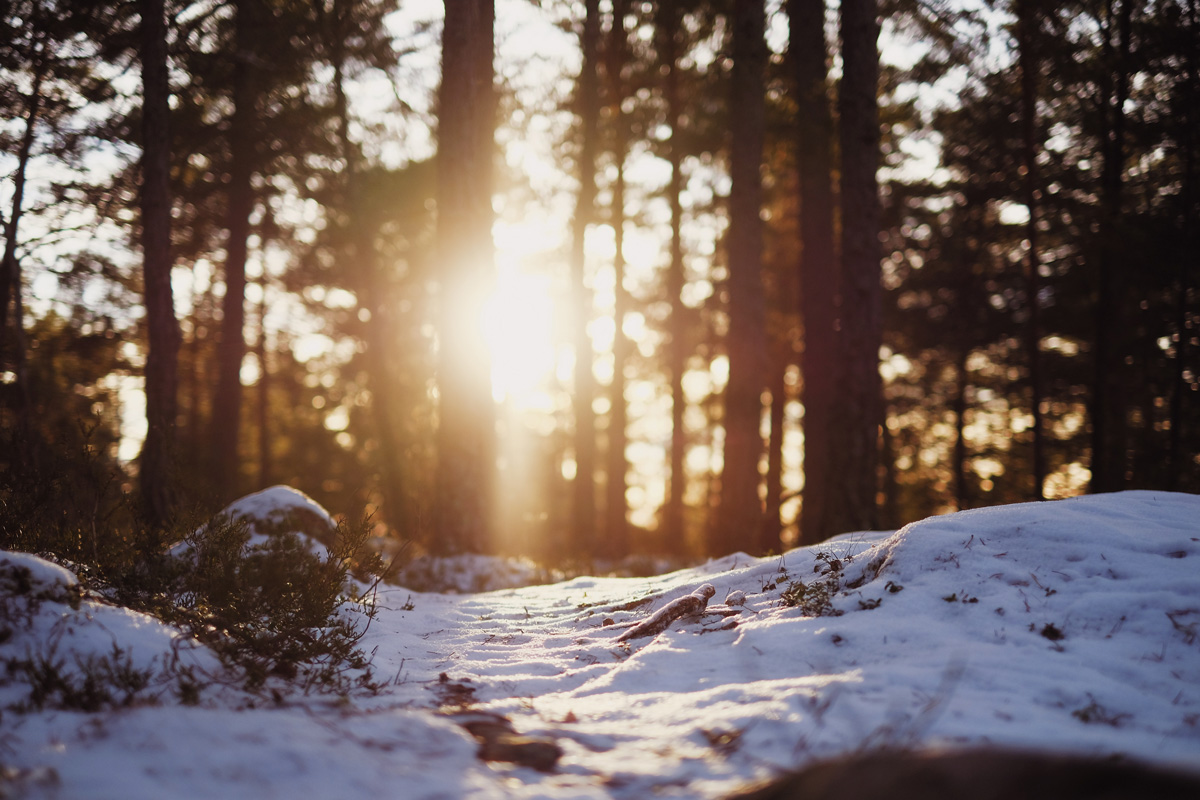 10 Ways to Take Care of Yourself this Winter